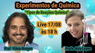 Experimentos de Química Tipos de reações em meio aquoso [upl. by Karlee]