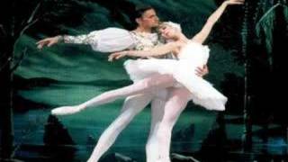 TCHAIKOVSKY Swan Lake  Лебединое Озеро [upl. by Ellesij]