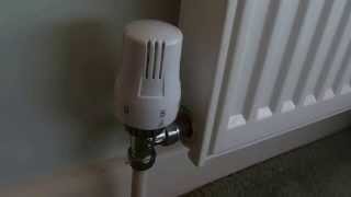 How to fix a thermostatic radiator valve if your radiator is not heating up [upl. by Tulley]