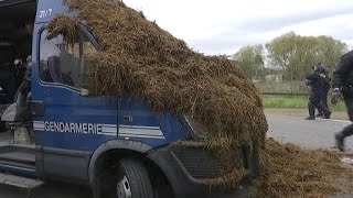 Florange les agriculteurs répandent du fumier pour interpeller François Hollande [upl. by Ogait]