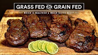 GRASSFED vs GRAINFED steak experiment which is best [upl. by Carney349]