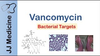 Vancomycin  Bacterial Targets Mechanism of Action Adverse Effects [upl. by Ahseiat274]