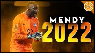 Edouard Mendy ● The Octopus ● Impossible Saves amp Passes Show  202122 FHD [upl. by Neelyam31]