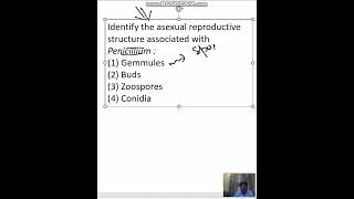 Identify the asexual reproductive structure associated with Penicillium  Gemmules 2 Buds [upl. by Ffej]