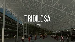 Como hacer una Tridilosa  Revit [upl. by Nnael]