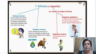 La Irritabilidad en los seres vivos [upl. by Omsare383]