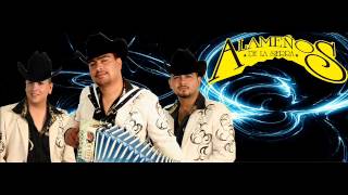 ANDO BIEN ARREGLADO Y CUMBIAS EN VIVO BY ALAMEÑOS DE LA SIERRA [upl. by Prima]