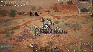 BDO  Succession Striker  Darkseekers Retreat  141khr L2  Agris  309AP No BS 3 events [upl. by Siro]