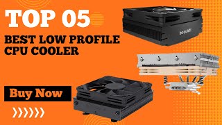 Top 5 Best Low Profile CPU Coolers in 2024 Maximize Performance in Compact Builds [upl. by Neenahs]