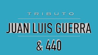 Tributo a Juan Luis Guerra y 440 cover [upl. by Anrak]