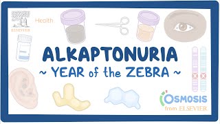 Alkaptonuria Year of the Zebra [upl. by Valenba564]