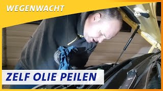 Zelf je oliepeil controleren  Wegenwacht vlog 85 [upl. by Smaj604]