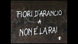 Non è la Rai  Fiori dArancio a Non è la Rai  Matrimonio Antonella Mosetti puntata 26 luglio 1995 [upl. by Hatokad]