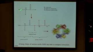 35 Enzyme catalysis [upl. by Chin]