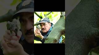 Omg🤯 cid team ne criminals ko maar diya😍 cid foryou shortfeed actor viral bollywood cidtvshow [upl. by Garda]