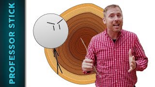 Creationists Undermine Tree Rings [upl. by Kirk]