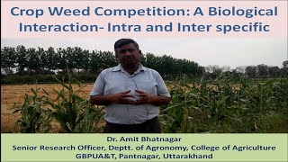 Crop Weed Competition A Biological Interaction  Intra and Interspecific [upl. by Hudis704]