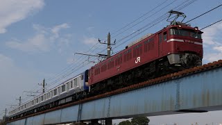 EF81牽引 鶴見川を通過するE235系配給 [upl. by Giardap185]