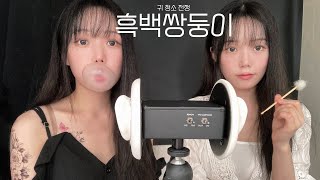 ASMR 흑백 쌍둥이의 귀청소 대결ㅣTwin Ear Cleaning Competition [upl. by Marola]