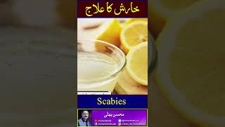 Scabies home remedy skincare scabies scabiestreatment skincaretips skinirritation [upl. by Ahsya]