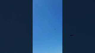 Stealth Bomber flying over Omaha [upl. by Novyert]