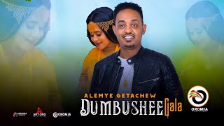 Alemye Getachew DUMBUSHEE GALA Ethiopian Oromo Music 2022 Official Video [upl. by Kenzi874]