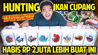 HUNTING IKAN CUPANG PREMIUM HABIS RP 2JUTA LEBIH BUAT INI GAK PERNAH BELI BETTA FISH SEMAHAL INI [upl. by Spancake]