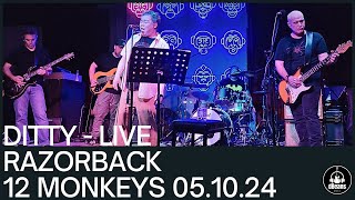 DITTY RAZORBACK LIVE 12 MONKEYS 051024 [upl. by Mohsen]