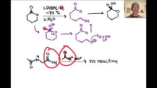 Acylations of Nucleophiles  LTQ 71 Spring 2024 [upl. by Nahama468]