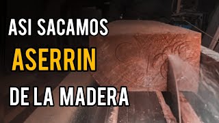 Cómo se saca el aserrín de la madera [upl. by Demetrius652]