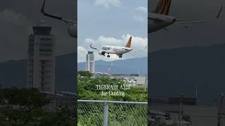 TIGERAIR A320 for landing [upl. by Riane]