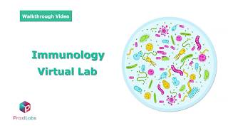 Elispot assay Dot ELISA l Immunology Virtual Lab l PraxiLabs [upl. by Francois]