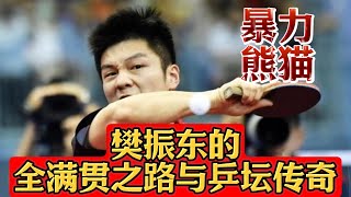 继邓亚萍和马龙之后，又一个超级 全 满贯：樊振东！刘国梁眼中的天才！奥运会 樊振东 fanzhendong pingpong 乒乓 乒乓球 [upl. by Noscire438]