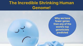 The incredible shrinking human genome [upl. by Cello]