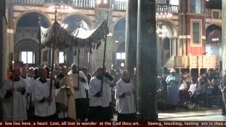 Blessed Sacrament Procession Westminster Cathedral 2014 A Day With Mary [upl. by Rosabel]