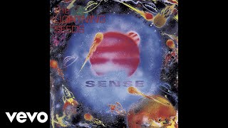 The Lightning Seeds  Sense Official Audio [upl. by Ekralc485]