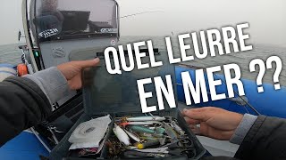 Des poissons à tous les étages   BAM 13  Pêche au leurre en mer [upl. by Felicle919]