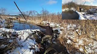 Snowy Beaver Dam Removal [upl. by Enyahc]