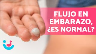 ¿Qué SIGNIFICA el FLUJO durante el EMBARAZO 🤰💧 ¿Es normal ¿Cuándo debo preocuparme [upl. by Tynan]