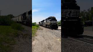 NS 1037 With An Ear Splitting Horn train railfan [upl. by Cirnek382]