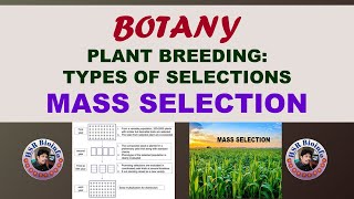 PLANT BREEDING  TYPES OF SELECTIONS MASS SELECTIONS  BSC BOTANY 4TH SEMESTER [upl. by Nakashima]