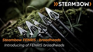 Steambow  Introducing of broadheads and field tips for the FENRIS arrows [upl. by Meredi]