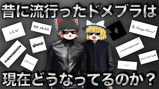 昔に流行ったドメブラが今どうなってるのかを徹底解説！【ゆっくり解説】【ファッション】 [upl. by Suhpoelc922]