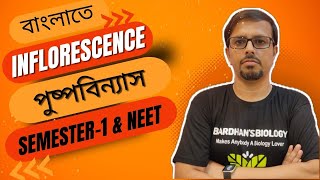 Inflorescence পুষ্পবিন্যাস । Class 11। NEET amp Semester 1 । Racemose amp Cymose [upl. by Ecnaret433]