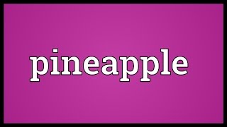 Pineapple Meaning [upl. by Harriett702]