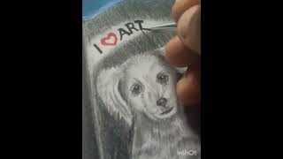 realistic painting of Artline LoveArt sketch pencils shorts youtubeshorts artlinepencil [upl. by Oren]