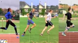 Study of Sprinters and Distance Runners Leg Action [upl. by Aicilaanna]