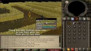 RuneScape 2007 Impetuous Impulses Puro puro Impling minigame [upl. by Deehan652]