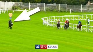 The most GENIUS moments from jockeys in horse racing 🤯 [upl. by Eseuqcaj240]