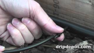 How to Use 14quot Microtubing as Feeder Lines from Mainline Tubing in a Drip System [upl. by Robbin]